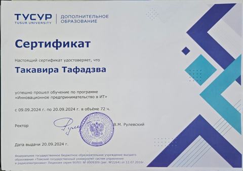 Innovative entrepreneurship in IT